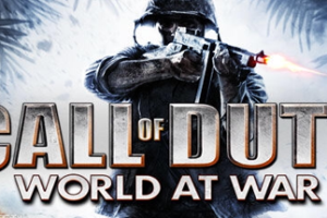 使命召唤5：世界战争/COD5/Call of Duty 5