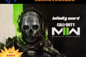 使命召唤19安装教程